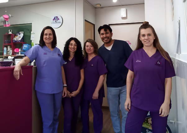 clínica veterinaria en Burjassot equipo home