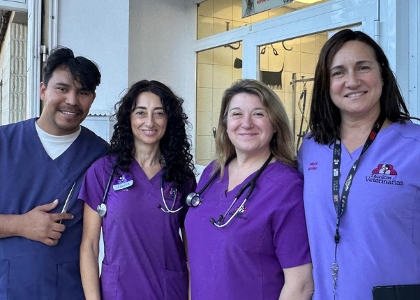 Equipo Técnicas Veterinarias