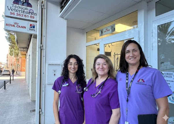 TÉCNICAS VETERINARIAS WEB EQUIPO